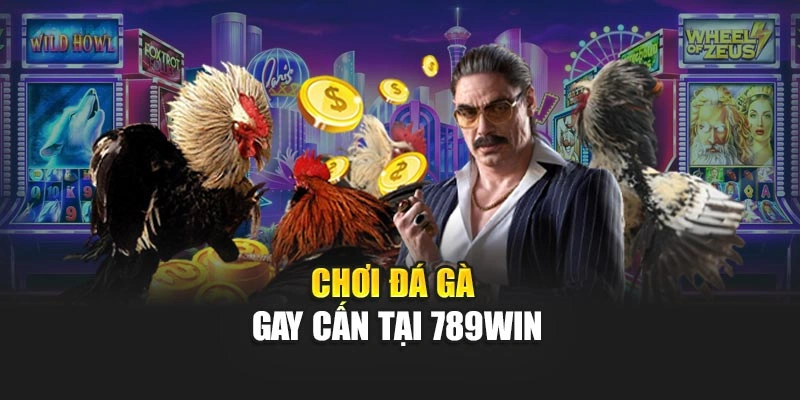 Chơi đá gà gay cấn tại 789WIN