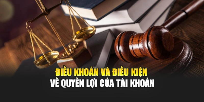 Điều khoản và điều kiện về quyền lợi của tài khoản