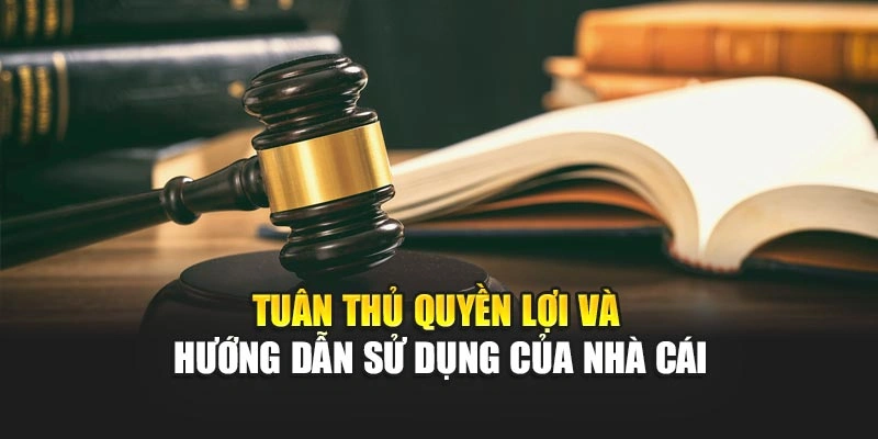 Tuân thủ quyền lợi và hướng dẫn sử dụng của nhà cái